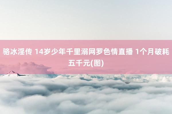 骆冰淫传 14岁少年千里溺网罗色情直播 1个月破耗五千元(图)