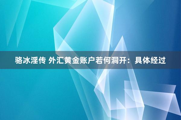 骆冰淫传 外汇黄金账户若何洞开：具体经过